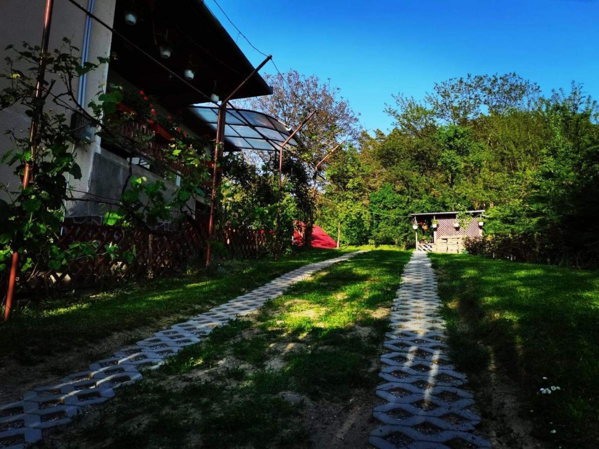 Casa De Vacanta Zsenik Vendeghaz Sovata Exterior photo